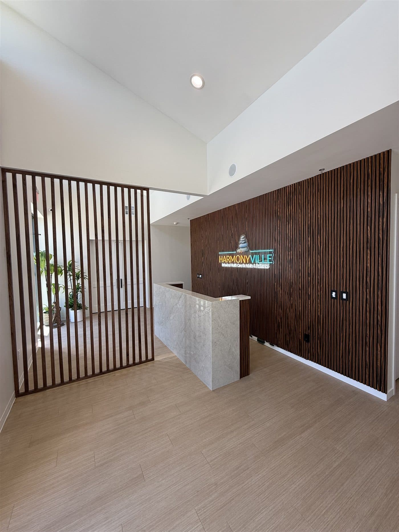 Office Reception Build-Out, DFW, TX