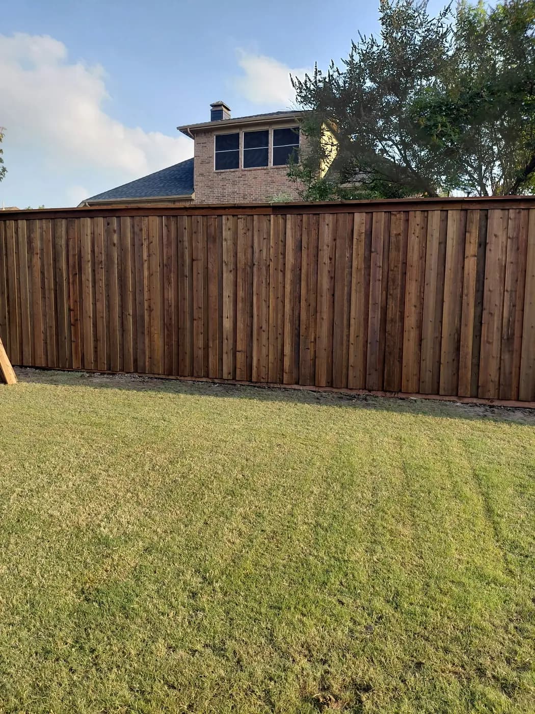 A long run of stained board-on-board cedar with a top cap, across a back yard.