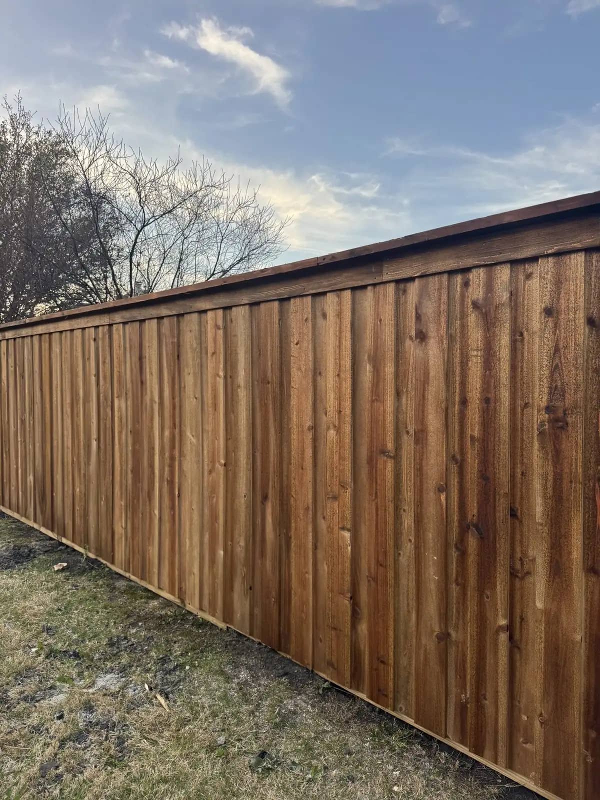 Board-on-board cedar privacy fence with a top cap, stained dark.